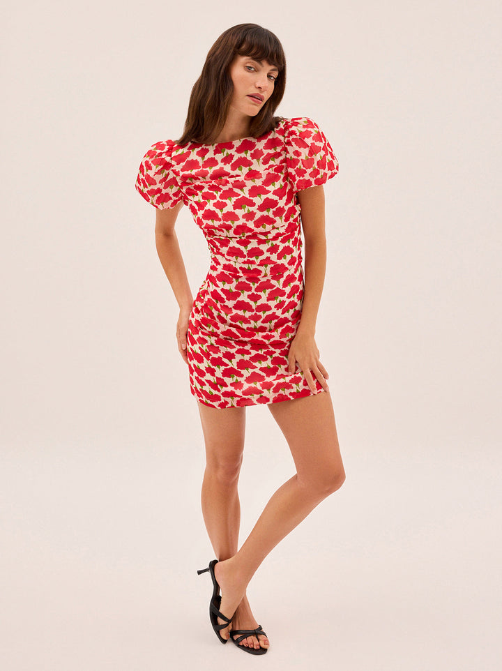 Caitlin Carnation Print Mini Dress